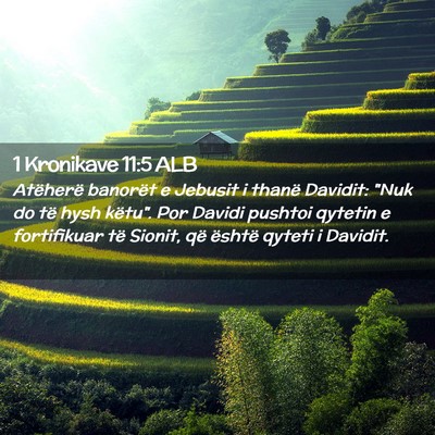 Picture 02 - 1 Kronikave 11:5 ALB - Atëherë banorët e Jebusit i thanë Davidit: - Bible Verse Picture