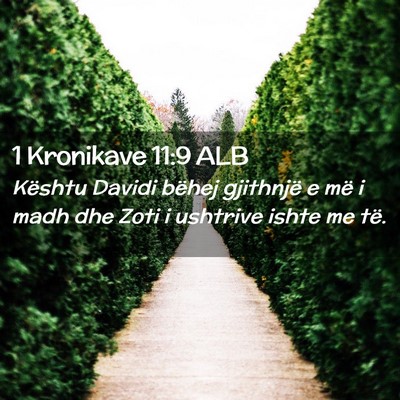 Picture 02 - 1 Kronikave 11:9 ALB - Kështu Davidi bëhej gjithnjë e më i madh dhe - Bible Verse Picture