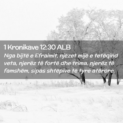 Picture 02 - 1 Kronikave 12:30 ALB - Nga bijtë e Efraimit, njëzet mijë e tetëqind - Bible Verse Picture