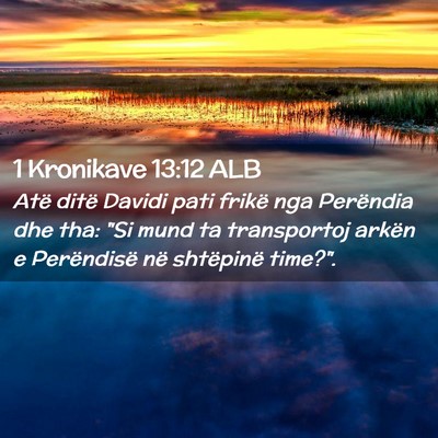 Picture 02 - 1 Kronikave 13:12 ALB - Atë ditë Davidi pati frikë nga Perëndia dhe - Bible Verse Picture