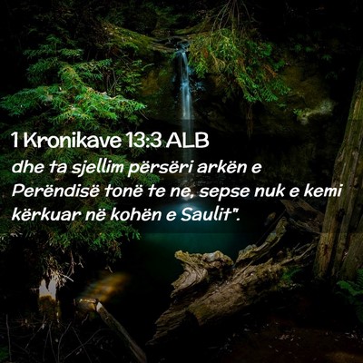 Picture 02 - 1 Kronikave 13:3 ALB - dhe ta sjellim përsëri arkën e Perëndisë - Bible Verse Picture