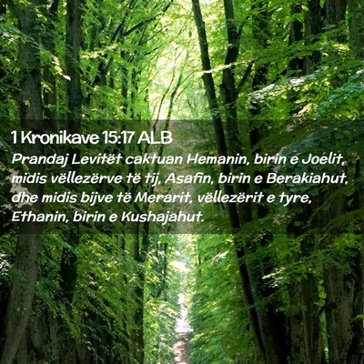 Picture 02 - 1 Kronikave 15:17 ALB - Prandaj Levitët caktuan Hemanin, birin e Joelit, - Bible Verse Picture
