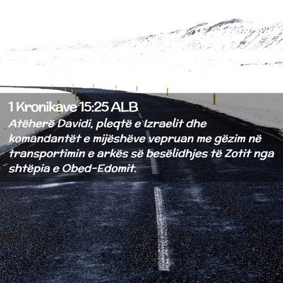 Picture 02 - 1 Kronikave 15:25 ALB - Atëherë Davidi, pleqtë e Izraelit dhe - Bible Verse Picture