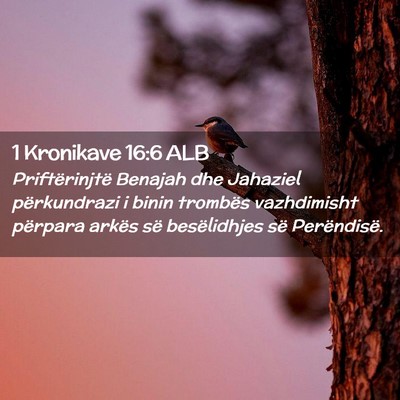 Picture 02 - 1 Kronikave 16:6 ALB - Priftërinjtë Benajah dhe Jahaziel përkundrazi - Bible Verse Picture