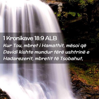 Picture 02 - 1 Kronikave 18:9 ALB - Kur Tou, mbret i Hamathit, mësoi që Davidi - Bible Verse Picture