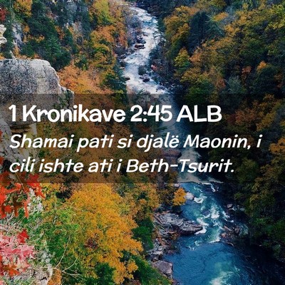 Picture 02 - 1 Kronikave 2:45 ALB - Shamai pati si djalë Maonin, i cili ishte ati i - Bible Verse Picture