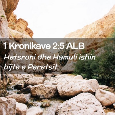 Picture 02 - 1 Kronikave 2:5 ALB - Hetsroni dhe Hamuli ishin bijtë e - Bible Verse Picture