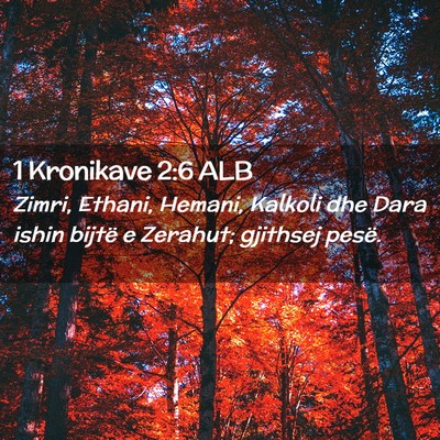 Picture 02 - 1 Kronikave 2:6 ALB - Zimri, Ethani, Hemani, Kalkoli dhe Dara ishin - Bible Verse Picture