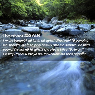 Picture 02 - 1 Kronikave 20:3 ALB - I nxori banorët që ishin në qytet dhe i vuri - Bible Verse Picture