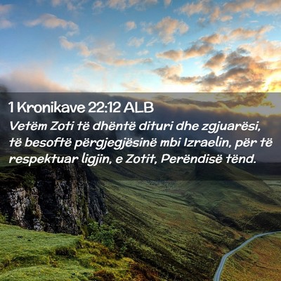 Picture 02 - 1 Kronikave 22:12 ALB - Vetëm Zoti të dhëntë dituri dhe zgjuarësi, - Bible Verse Picture