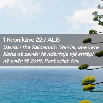 Picture 02 - 1 Kronikave 22:7 ALB - Davidi i tha Salomonit: 