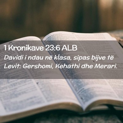 Picture 02 - 1 Kronikave 23:6 ALB - Davidi i ndau në klasa, sipas bijve të Levit: - Bible Verse Picture