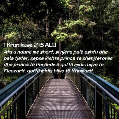 Picture 02 - 1 Kronikave 24:5 ALB - Ata u ndanë me short, si njera palë ashtu dhe - Bible Verse Picture