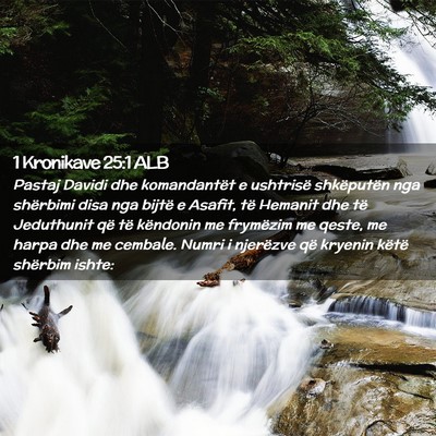 Picture 02 - 1 Kronikave 25:1 ALB - Pastaj Davidi dhe komandantët e ushtrisë - Bible Verse Picture