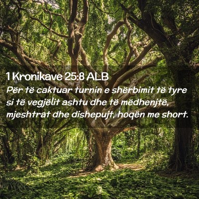 Picture 02 - 1 Kronikave 25:8 ALB - Për të caktuar turnin e shërbimit të tyre si - Bible Verse Picture