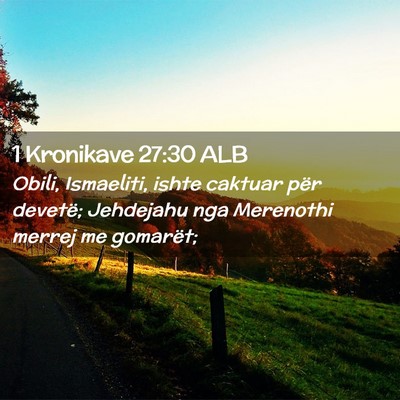 Picture 02 - 1 Kronikave 27:30 ALB - Obili, Ismaeliti, ishte caktuar për devetë; - Bible Verse Picture