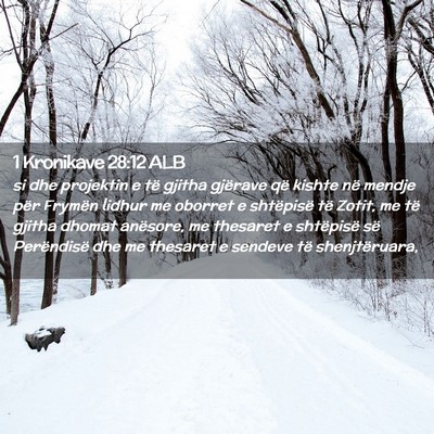Picture 02 - 1 Kronikave 28:12 ALB - si dhe projektin e të gjitha gjërave që kishte - Bible Verse Picture