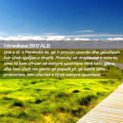 Picture 02 - 1 Kronikave 29:17 ALB - Unë e di, o Perëndia im, që ti provon zemrën - Bible Verse Picture