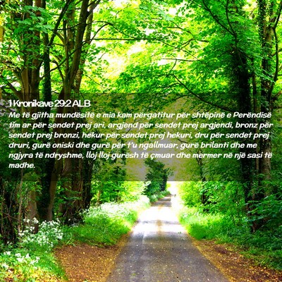 Picture 02 - 1 Kronikave 29:2 ALB - Me të gjitha mundësitë e mia kam përgatitur - Bible Verse Picture