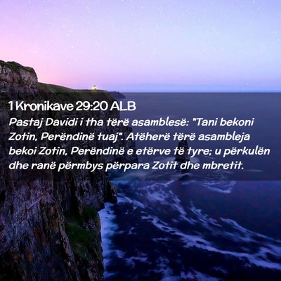 Picture 02 - 1 Kronikave 29:20 ALB - Pastaj Davidi i tha tërë asamblesë: 