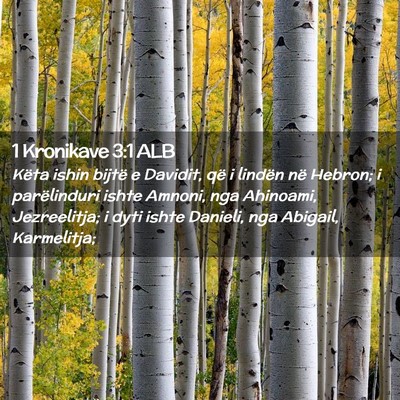 Picture 02 - 1 Kronikave 3:1 ALB - Këta ishin bijtë e Davidit, që i lindën në - Bible Verse Picture