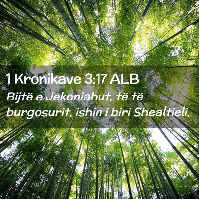 Picture 02 - 1 Kronikave 3:17 ALB - Bijtë e Jekoniahut, të të burgosurit, ishin i - Bible Verse Picture