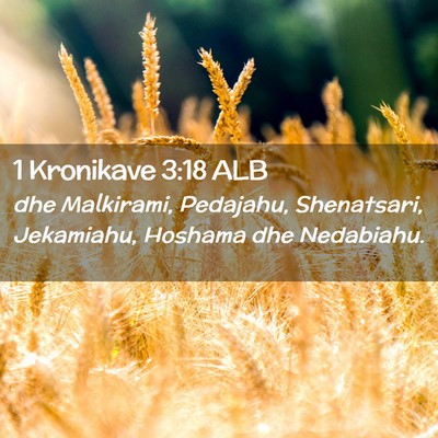 Picture 02 - 1 Kronikave 3:18 ALB - dhe Malkirami, Pedajahu, Shenatsari, Jekamiahu, - Bible Verse Picture