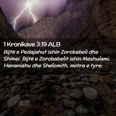 Picture 02 - 1 Kronikave 3:19 ALB - Bijtë e Pedajahut ishin Zorobabeli dhe Shimei. - Bible Verse Picture
