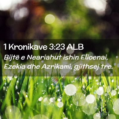 Picture 02 - 1 Kronikave 3:23 ALB - Bijtë e Neariahut ishin Elioenai, Ezekia dhe - Bible Verse Picture