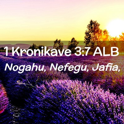 Picture 02 - 1 Kronikave 3:7 ALB - Nogahu, Nefegu, - Bible Verse Picture