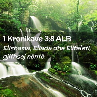 Picture 02 - 1 Kronikave 3:8 ALB - Elishama, Eliada dhe Elifeleti, gjithsej - Bible Verse Picture