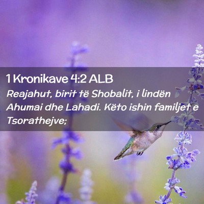 Picture 02 - 1 Kronikave 4:2 ALB - Reajahut, birit të Shobalit, i lindën Ahumai - Bible Verse Picture