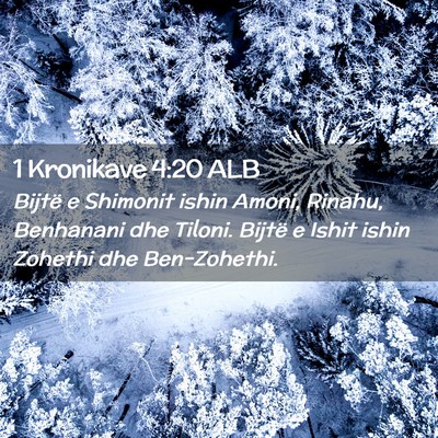 Picture 02 - 1 Kronikave 4:20 ALB - Bijtë e Shimonit ishin Amoni, Rinahu, Benhanani - Bible Verse Picture