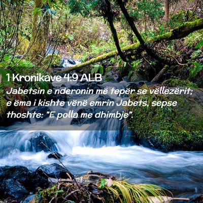 Picture 02 - 1 Kronikave 4:9 ALB - Jabetsin e nderonin më tepër se vëllezërit; e - Bible Verse Picture