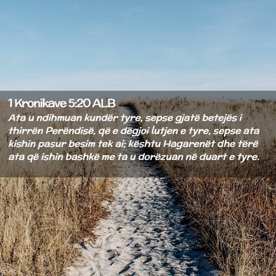 Picture 02 - 1 Kronikave 5:20 ALB - Ata u ndihmuan kundër tyre, sepse gjatë - Bible Verse Picture