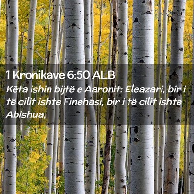 Picture 02 - 1 Kronikave 6:50 ALB - Këta ishin bijtë e Aaronit: Eleazari, bir i të - Bible Verse Picture