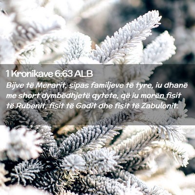 Picture 02 - 1 Kronikave 6:63 ALB - Bijve të Merarit, sipas familjeve të tyre, iu - Bible Verse Picture