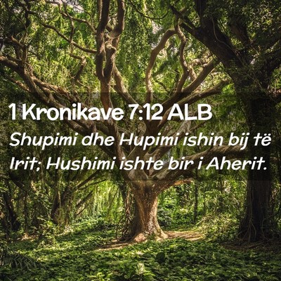 Picture 02 - 1 Kronikave 7:12 ALB - Shupimi dhe Hupimi ishin bij të Irit; Hushimi - Bible Verse Picture