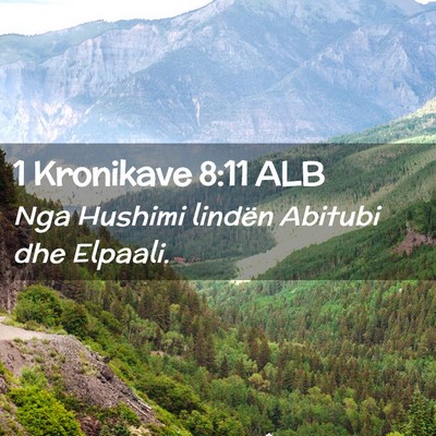 Picture 02 - 1 Kronikave 8:11 ALB - Nga Hushimi lindën Abitubi dhe - Bible Verse Picture