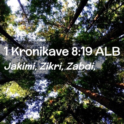 Picture 02 - 1 Kronikave 8:19 ALB - Jakimi, Zikri, - Bible Verse Picture