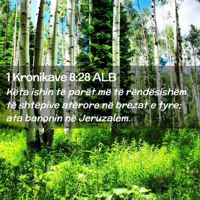 Picture 02 - 1 Kronikave 8:28 ALB - Këta ishin të parët më të rëndësishëm të - Bible Verse Picture
