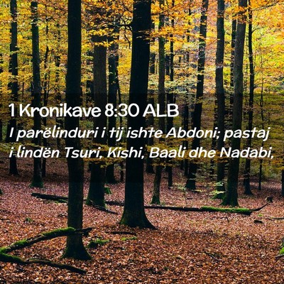Picture 02 - 1 Kronikave 8:30 ALB - I parëlinduri i tij ishte Abdoni; pastaj i - Bible Verse Picture