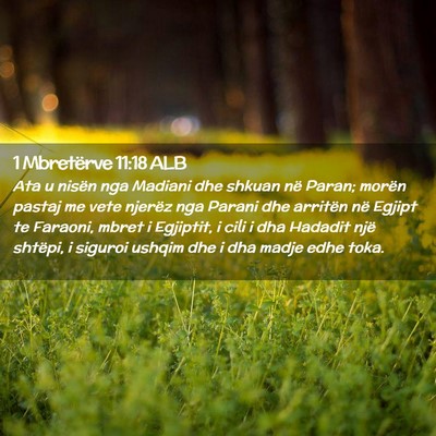 Picture 02 - 1 Mbretërve 11:18 ALB - Ata u nisën nga Madiani dhe shkuan në Paran; - Bible Verse Picture
