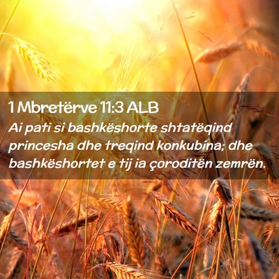 Picture 02 - 1 Mbretërve 11:3 ALB - Ai pati si bashkëshorte shtatëqind princesha - Bible Verse Picture