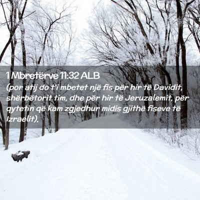 Picture 02 - 1 Mbretërve 11:32 ALB - (por atij do t’i mbetet një fis për hir të - Bible Verse Picture