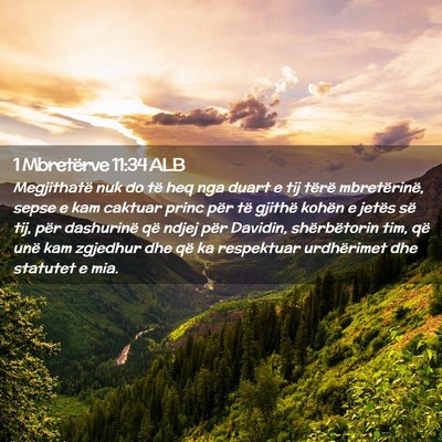 Picture 02 - 1 Mbretërve 11:34 ALB - Megjithatë nuk do të heq nga duart e tij tërë - Bible Verse Picture