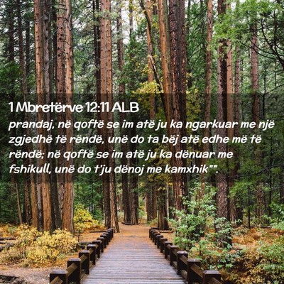 Picture 02 - 1 Mbretërve 12:11 ALB - prandaj, në qoftë se im atë ju ka ngarkuar me - Bible Verse Picture
