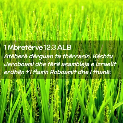Picture 02 - 1 Mbretërve 12:3 ALB - Atëherë dërguan ta thërrasin. Kështu - Bible Verse Picture