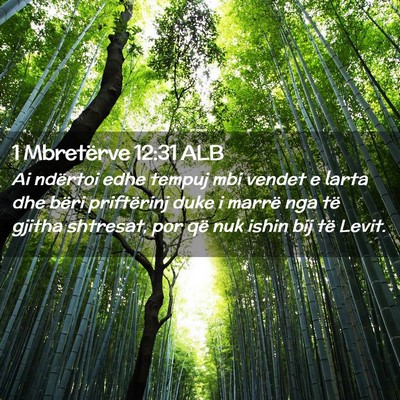 Picture 02 - 1 Mbretërve 12:31 ALB - Ai ndërtoi edhe tempuj mbi vendet e larta dhe - Bible Verse Picture