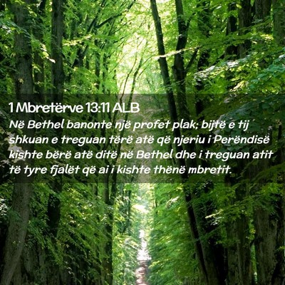 Picture 02 - 1 Mbretërve 13:11 ALB - Në Bethel banonte një profet plak; bijtë e tij - Bible Verse Picture